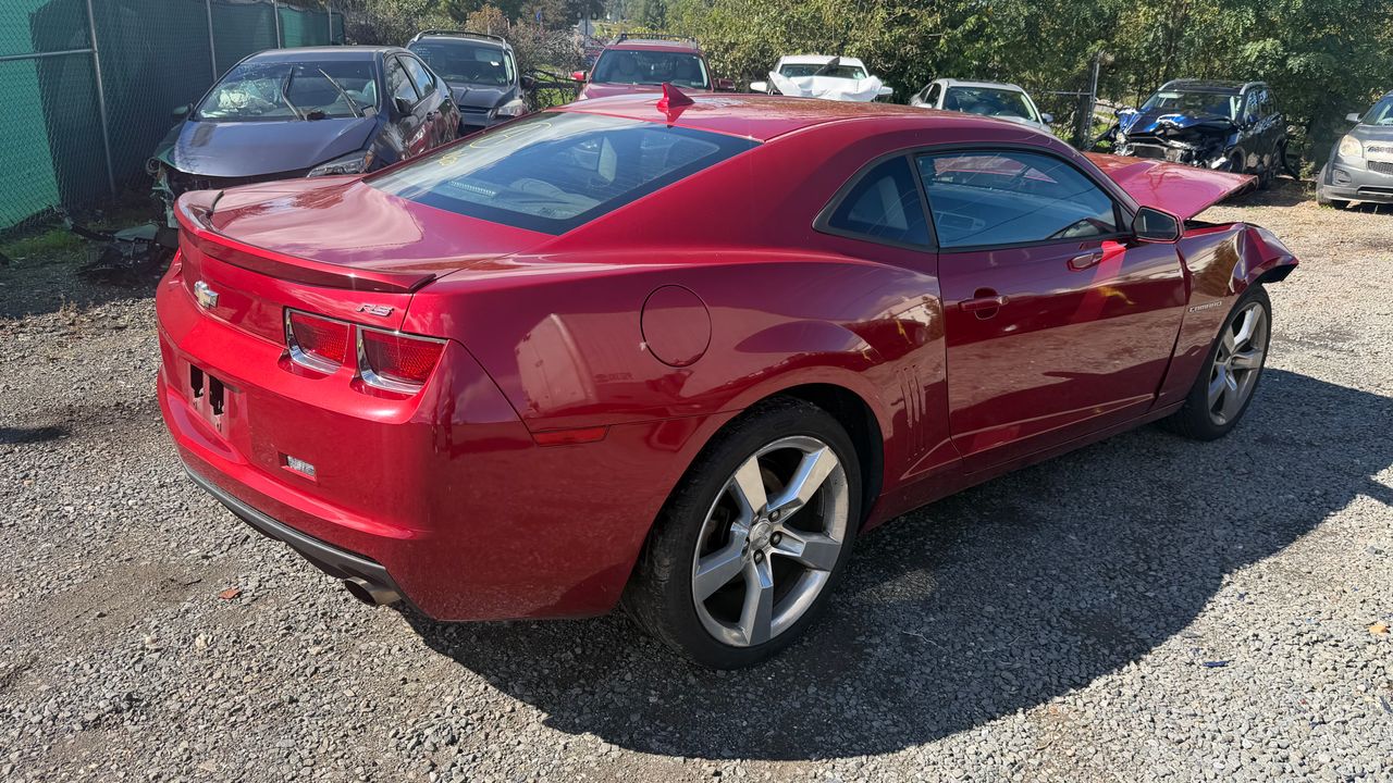 Passenger back angle