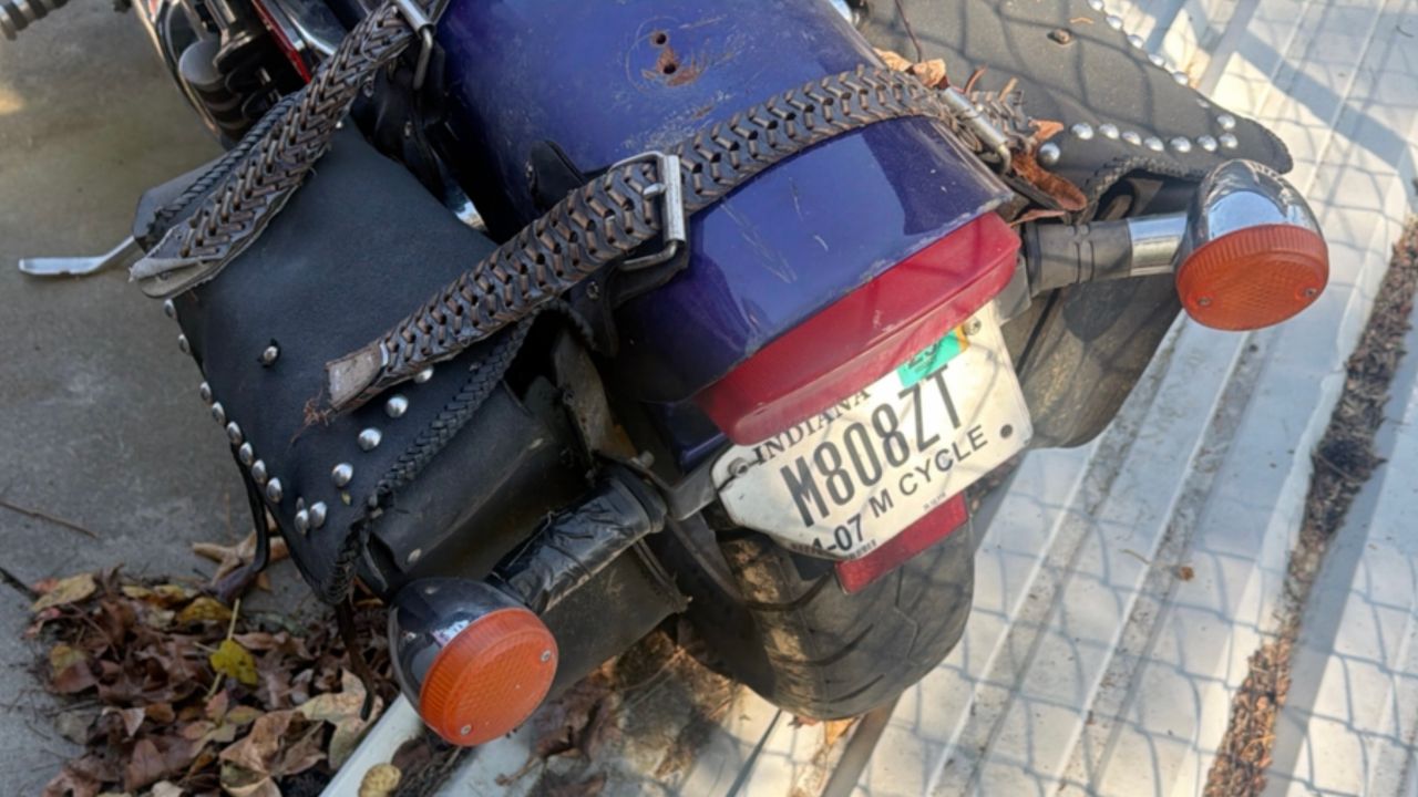 Passenger back angle