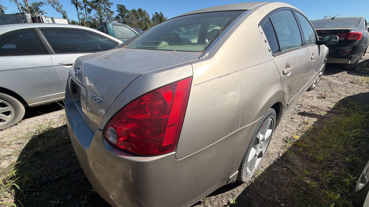 Passenger back angle