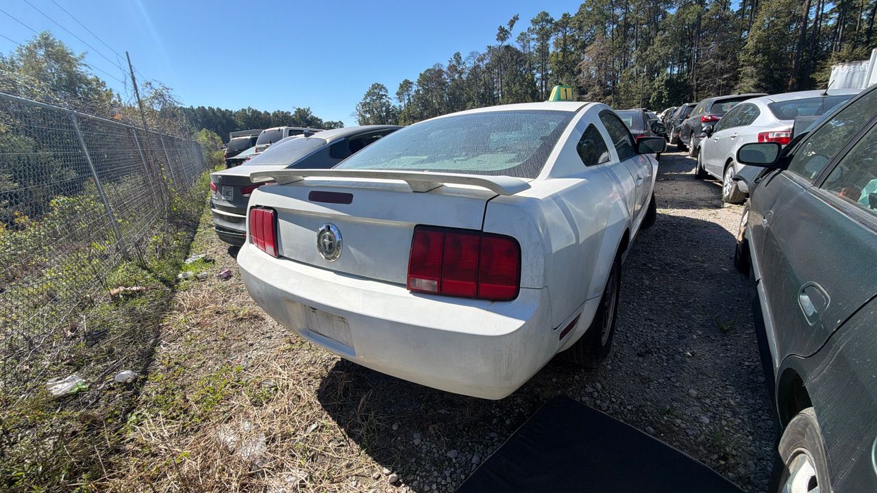 Passenger back angle